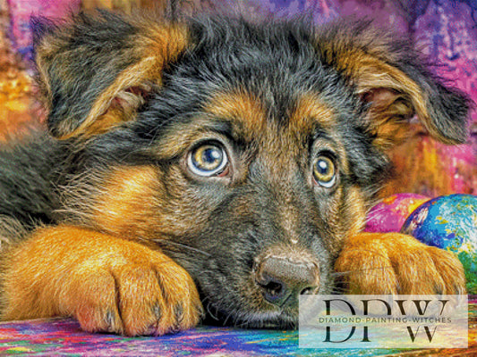 Baby Schäferhund by CreatiVart 100x75cm mit 350 Farben DPW-2716