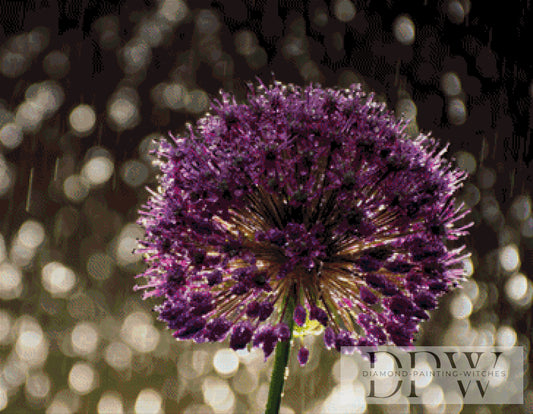 Allium by theA.art 90x70cm mit 170 Farben DPW-335