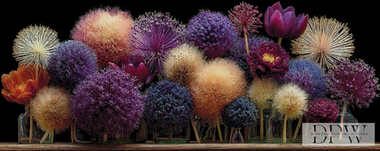 Alliumtraum by theA.art 150x60cm mit 230 Farben DPW-740