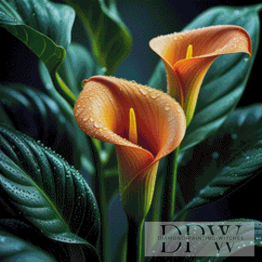 Orange Callas by Casalla Vendetta 60x60cm mit 180 Farben DPW-1519