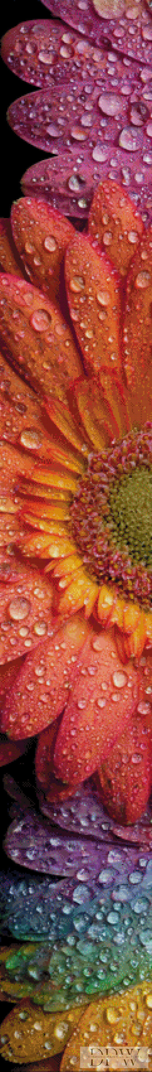 Rainbow Gerbera by theA.art 30x210cm mit 330 Farben DPW-300