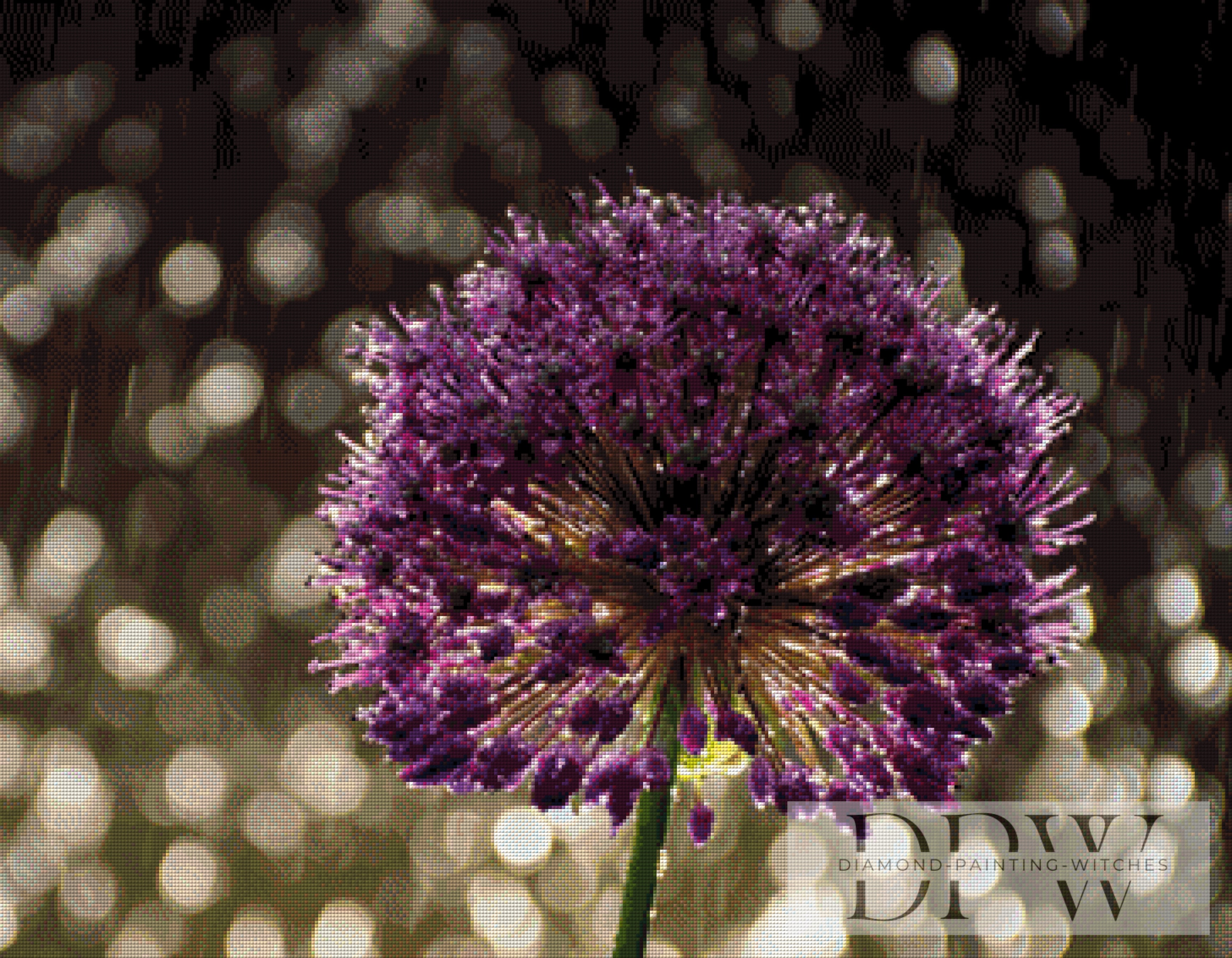 Allium by theA.art mit 170 Farben