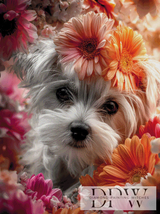 Malteser IV by theA.art 75x100cm mit 240 Farben DPW-3371