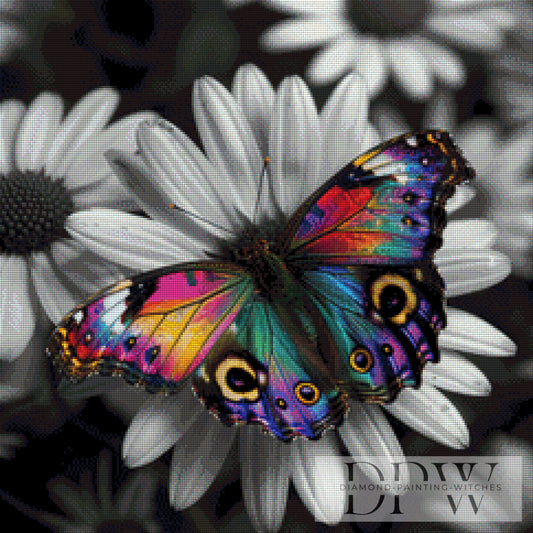 Bunter Schmetterling by theA.art 60x60cm mit 200 Farben DPW-343