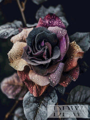 Die besondere Rose by theA.art mit 130 Farben