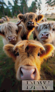 Highland Kuh Quartett by theA.art mit 230 Farben **SOFORTKAUF** ECKIGE Steine