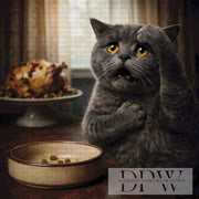 Drama Cat by Pixxel Pics mit 111 Farben