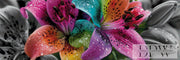 Lilienkreation by theA.art mit 340 Farben