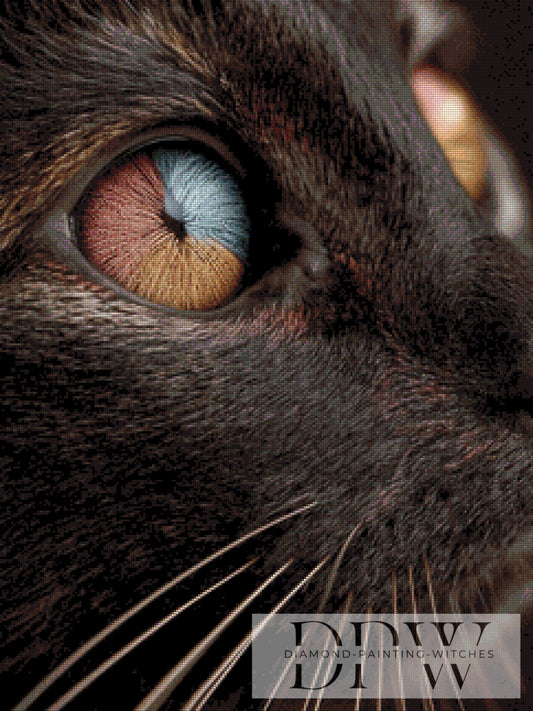 Schwarze Miezi by CleoDora 60x80cm mit 100 Farben DPW-6301