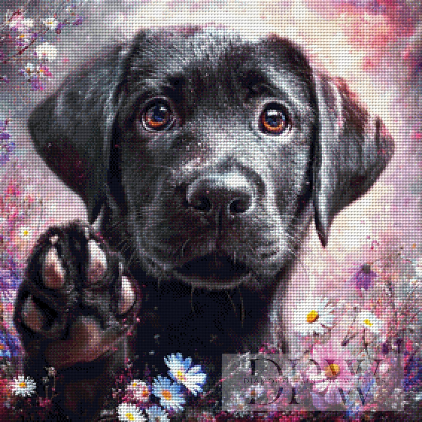 Buddy by ellufija 70x70cm mit 170 Farben DPW-6459