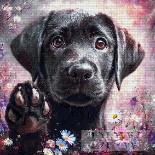 Buddy by ellufija 70x70cm mit 170 Farben DPW-6459