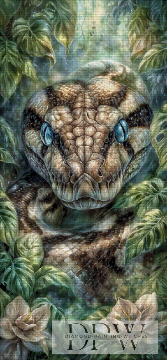 Anaconda Blick by Pixxel Pics mit 180/170 Farben