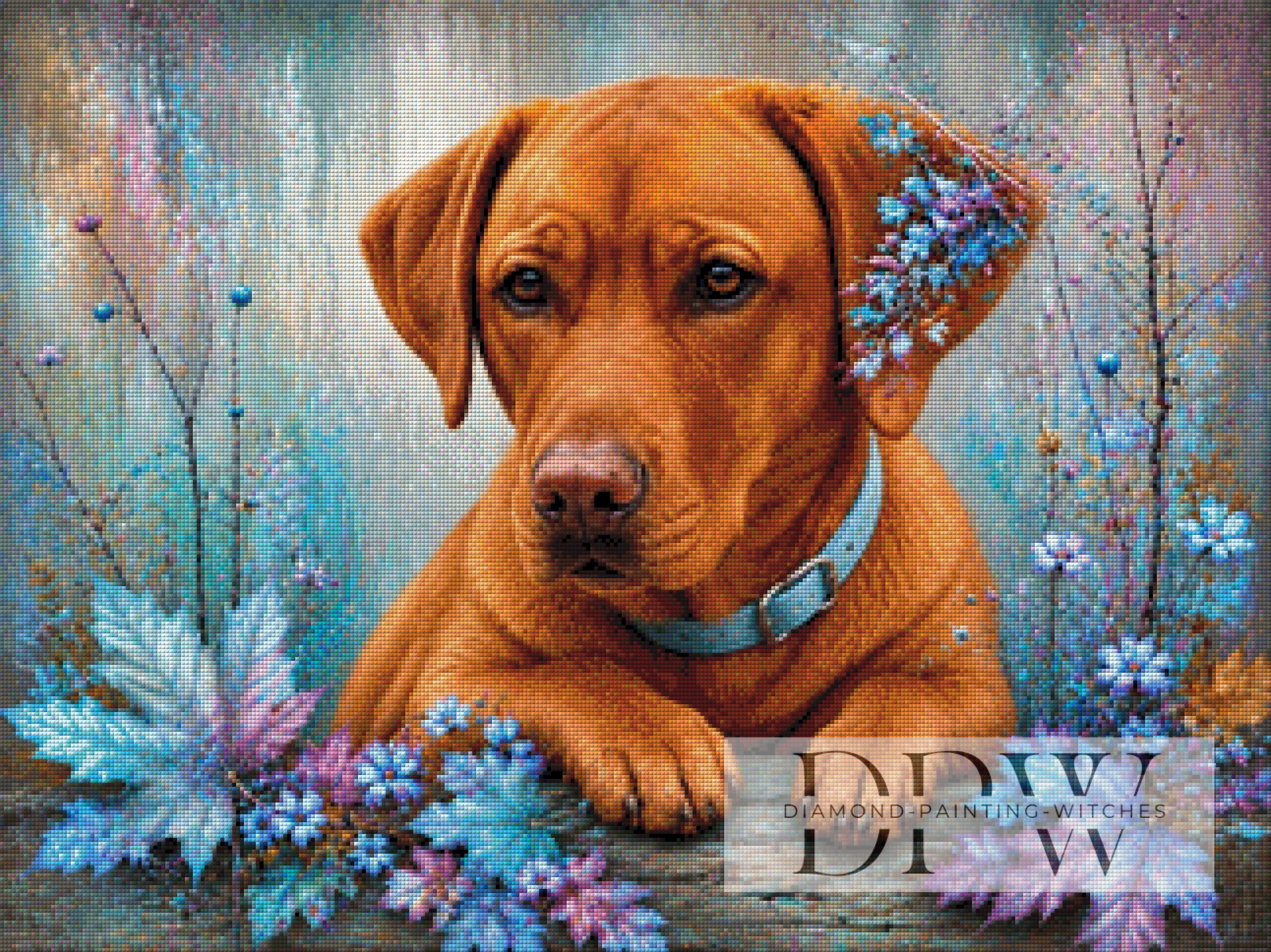 Buddy by CleoDora mit 250 Farben